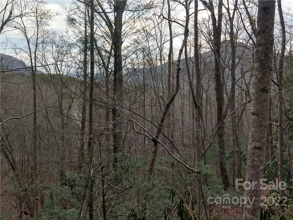 Lots 94 & 95 Rock Spring RD, Lake Lure, NC 28746