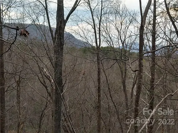 Lots 94 & 95 Rock Spring RD, Lake Lure, NC 28746