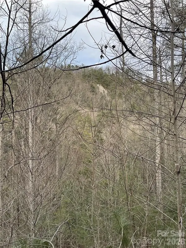 55 Boone Cove RD #71, Zirconia, NC 28790
