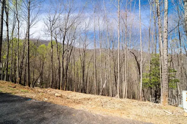 808 Stoney Stream LN, Arden, NC 28704