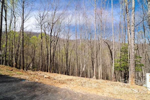 808 Stoney Stream LN, Arden, NC 28704