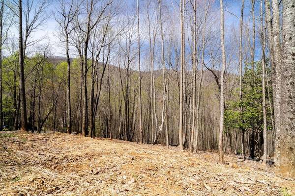 808 Stoney Stream LN, Arden, NC 28704
