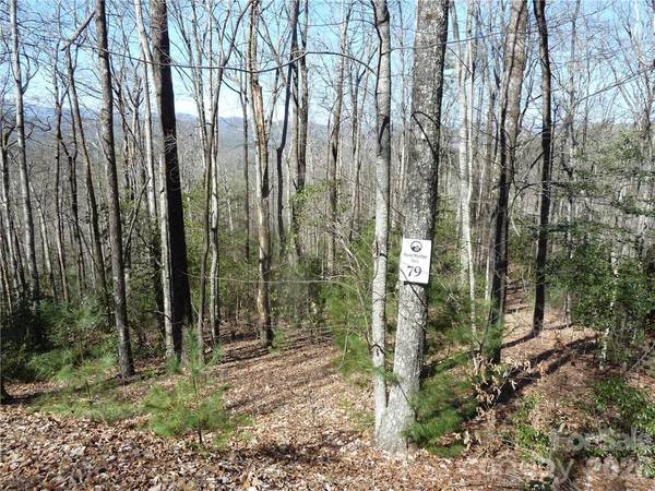 79 Peppervine CIR #L79, Rosman, NC 28772