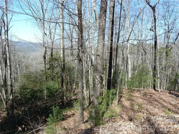 79 Peppervine CIR #L79, Rosman, NC 28772