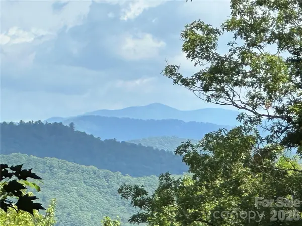 79 Peppervine CIR #L79, Rosman, NC 28772