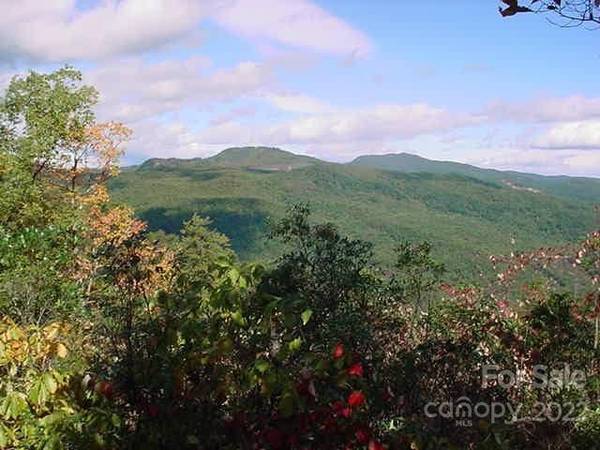 Lot 361 Hickory Nut LN, Lake Lure, NC 28746