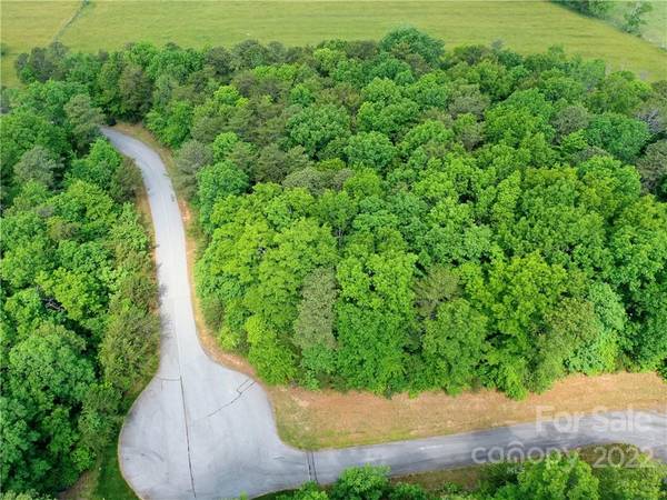LOT 295 Eastman PL, Mill Spring, NC 28756