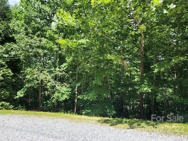00 Summit Landing DR #3, Zirconia, NC 28790