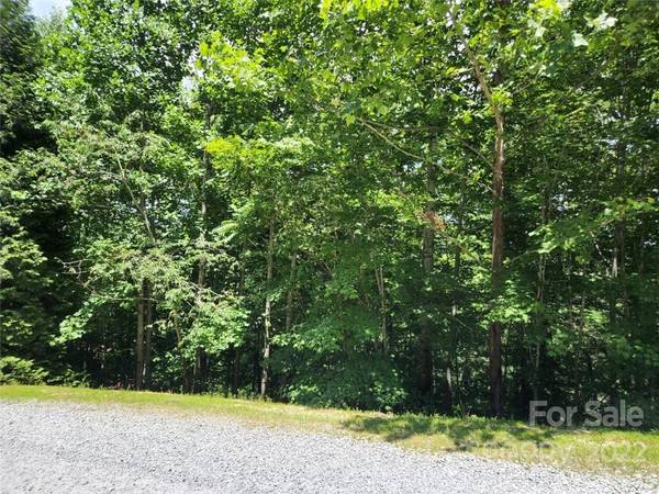 00 Summit Landing DR #3, Zirconia, NC 28790