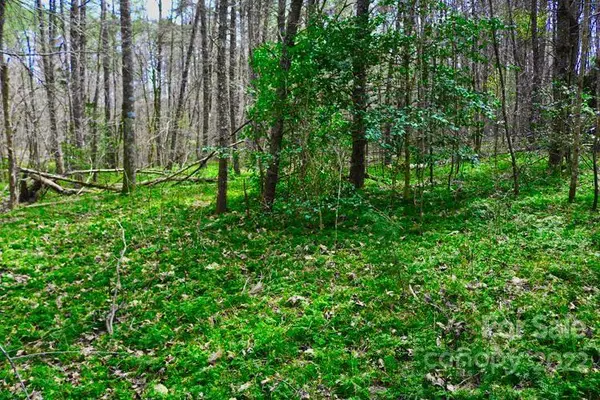 0 Westridge DR #87, Lake Lure, NC 28746