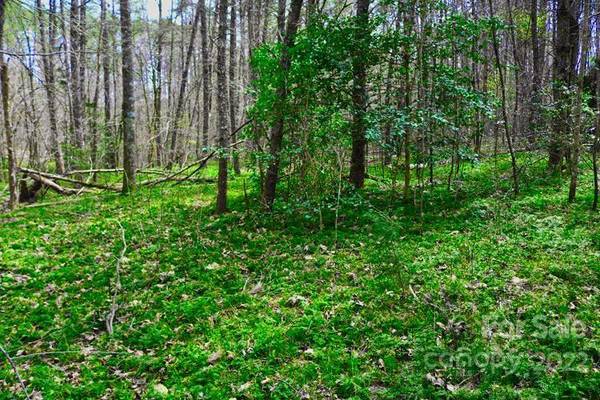 0 Westridge DR #87, Lake Lure, NC 28746