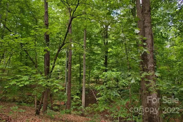 0 Midnight PASS #337, Rutherfordton, NC 28139