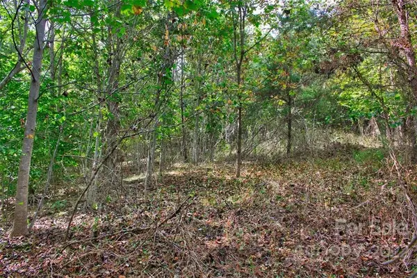 0 Chimney Creek LN #194, Rutherfordton, NC 28139