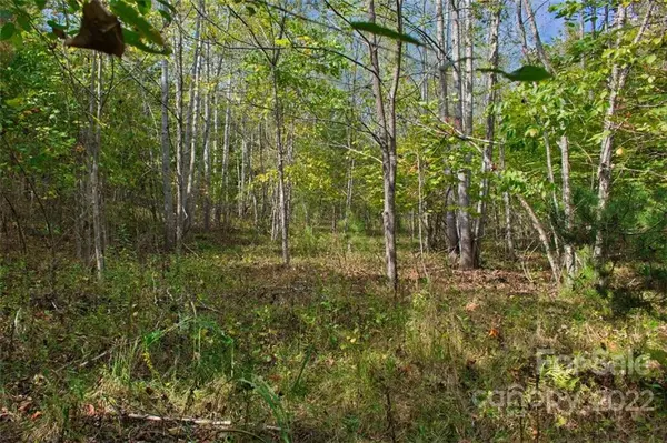 0 Chimney Creek LN #194, Rutherfordton, NC 28139
