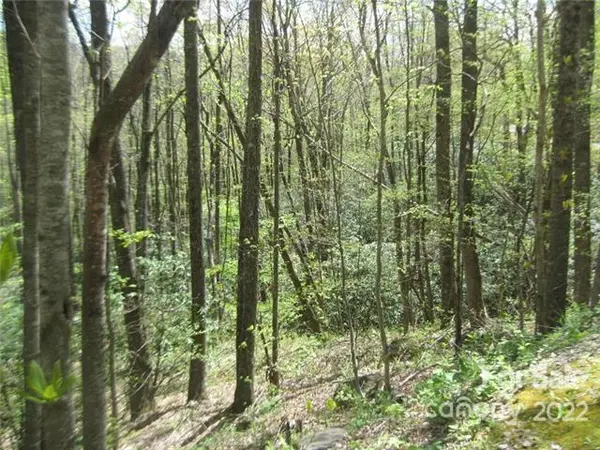 23 Wood Haven LN #113, Black Mountain, NC 28711