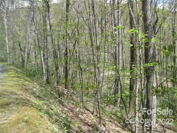 23 Wood Haven LN #113, Black Mountain, NC 28711