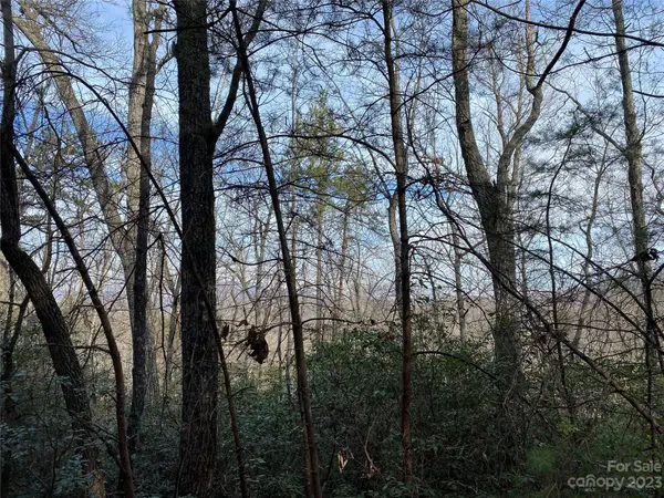 0 Birddog BLVD, Lake Lure, NC 28746