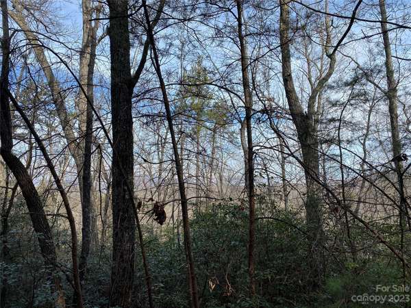 0 Birddog BLVD, Lake Lure, NC 28746