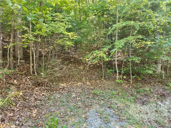 23 Overlook Park DR #48, Hendersonville, NC 28792