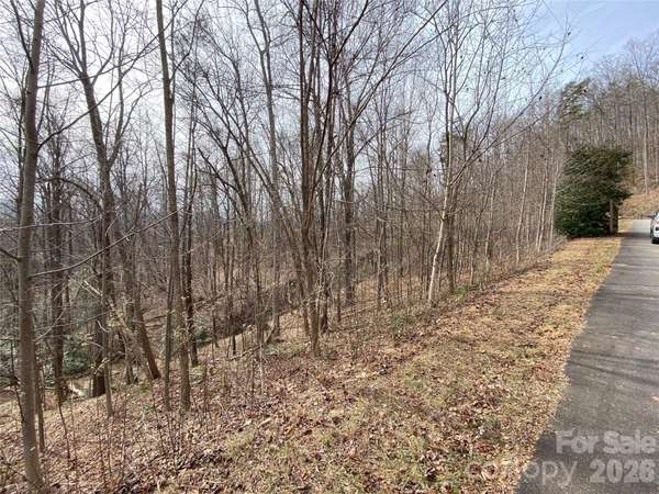 46 Holmstead DR #46, Lake Lure, NC 28746