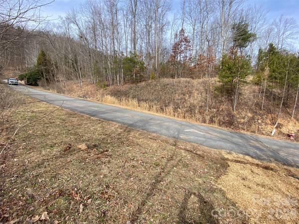 46 Holmstead DR #46, Lake Lure, NC 28746