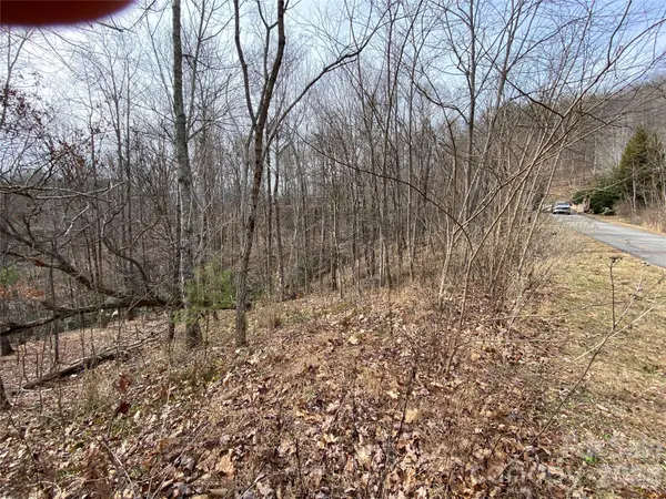 46 Holmstead DR #46, Lake Lure, NC 28746