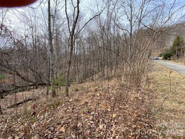 46 Holmstead DR #46, Lake Lure, NC 28746
