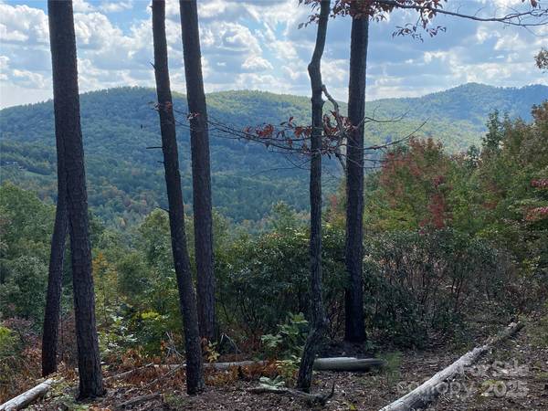 61 Scenic Vista DR #238, Nebo, NC 28761