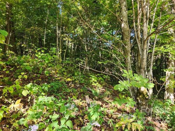 00 Staymon RD #229, Waynesville, NC 28786