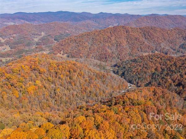 000 Drake Cove RD, Mars Hill, NC 28754