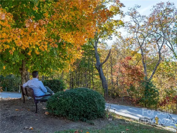 1736 Wood Owl CT #36R, Hendersonville, NC 28791