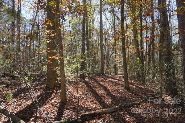 10.64 AC Burree RD #6, Clover, SC 29710