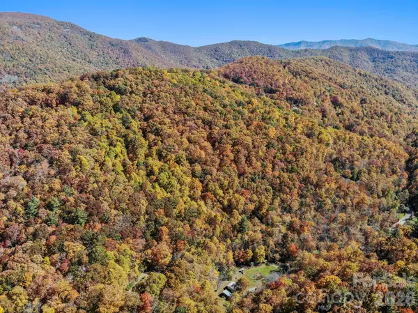 TBD Long Branch RD, Swannanoa, NC 28778