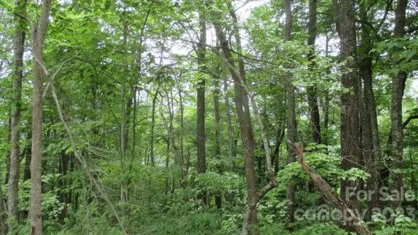 Lot 37 Deeplow Gap None, Bryson City, NC 28713