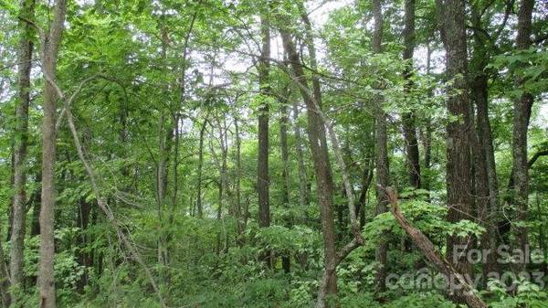 Lot 37 Deeplow Gap None, Bryson City, NC 28713