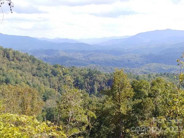 Lot 45 Thomas Divide WAY, Bryson City, NC 28713