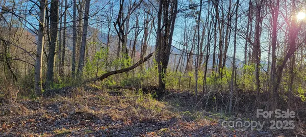 40 Rons RDG, Waynesville, NC 28785