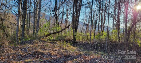 40 Rons RDG, Waynesville, NC 28785