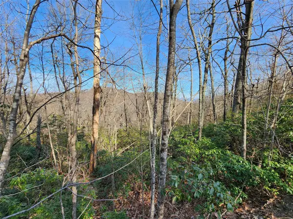 Lot 22 Sunset Ridge DR #22, Columbus, NC 28722
