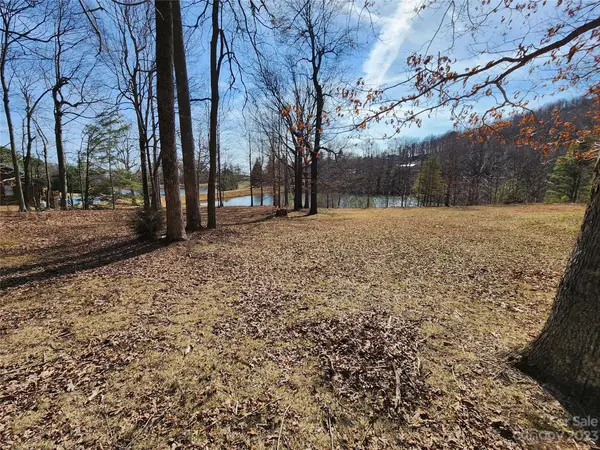 Lot 77 Three Bridges DR, Columbus, NC 28722