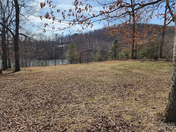 Lot 77 Three Bridges DR, Columbus, NC 28722