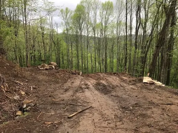 976 Slippery Rock RD, Waynesville, NC 28785
