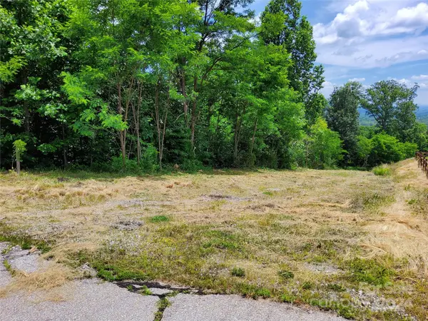 0 Bear Cliff WAY #14, Lake Lure, NC 28746