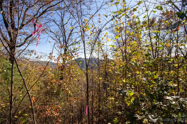 Lot# 547 Autumn RDG #547, Lenoir, NC 28645