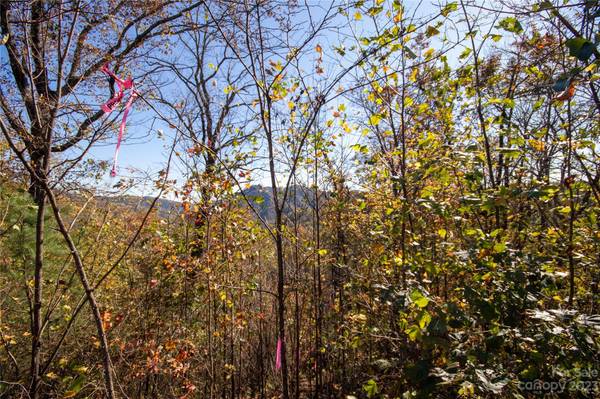 Lot# 547 Autumn RDG #547, Lenoir, NC 28645