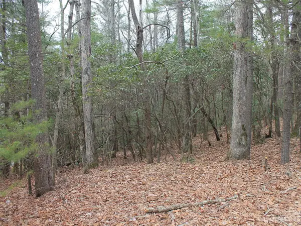 0000 Wildlife TRL #.84 ACRES, Hendersonville, NC 28739