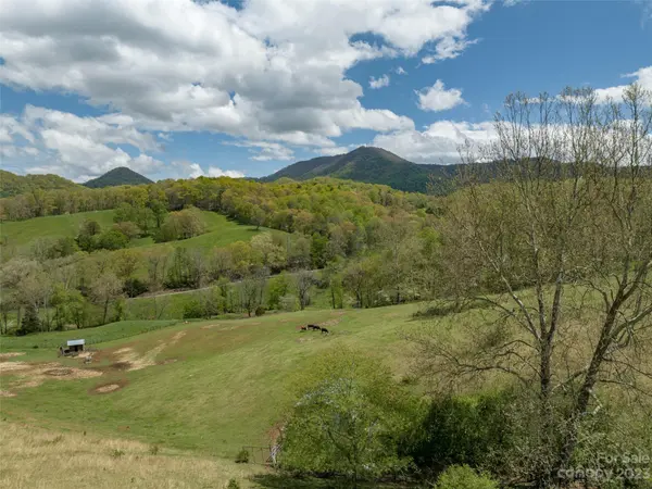 #4 Sunny Hill LN, Clyde, NC 28721