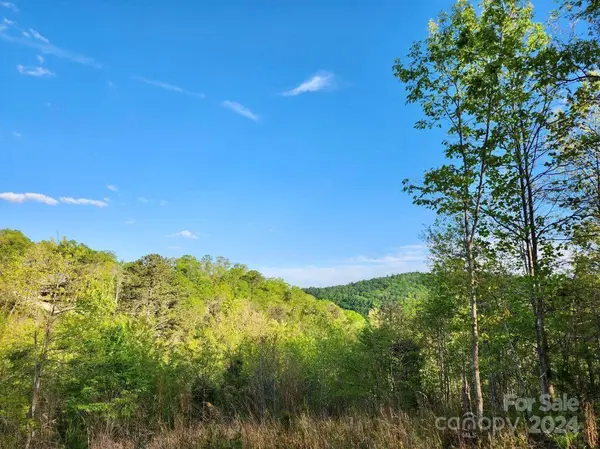 391 Red Fox TRL #16, Marshall, NC 28753
