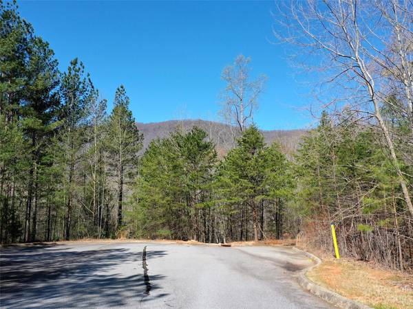 LOT 25 Monteith PL, Mill Spring, NC 28756