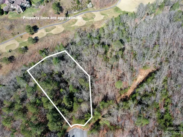 LOT 25 Monteith PL, Mill Spring, NC 28756